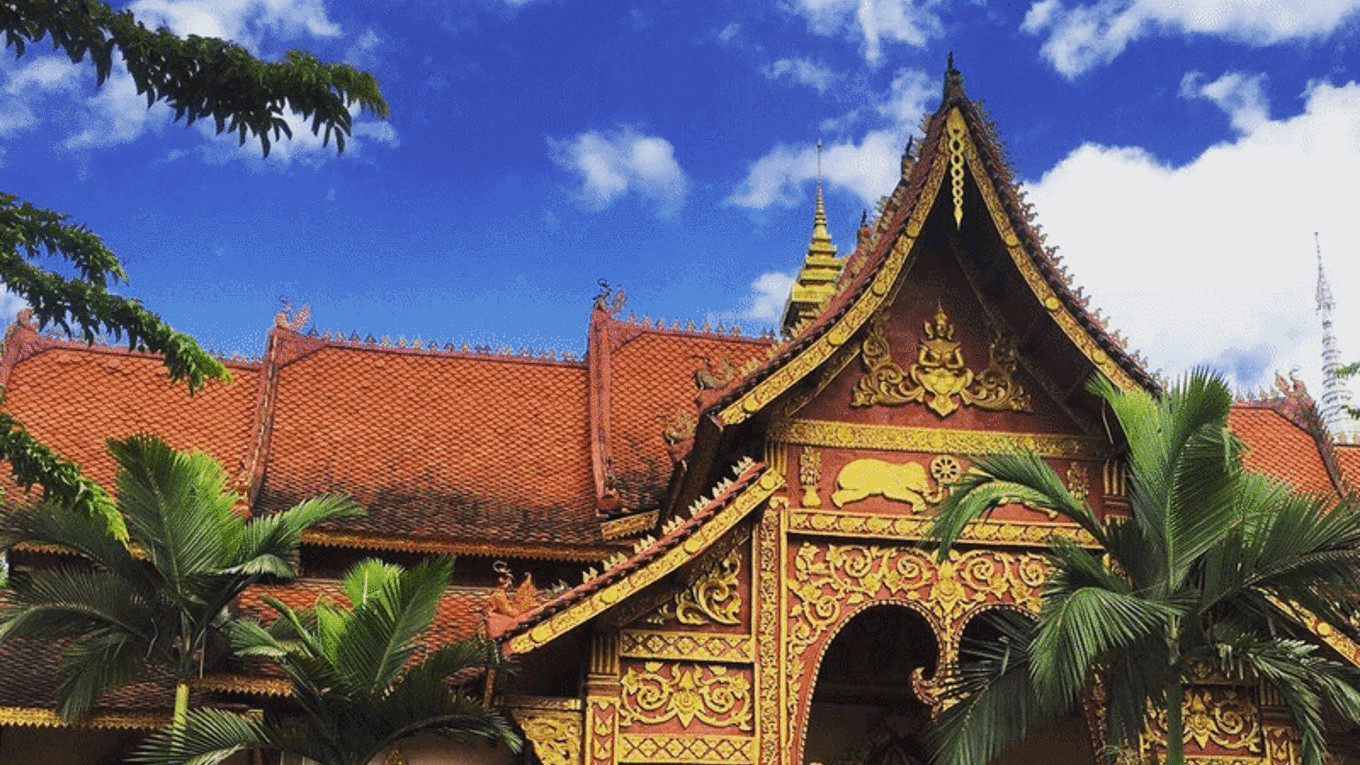 🌴退休后的自由之旅：西双版纳的深度体验🌴