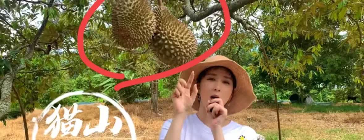 说实话
胡静嫁了个马来西亚富商，我不羡慕；胡静夫妻恩爱，我也不羡慕；但是她居然