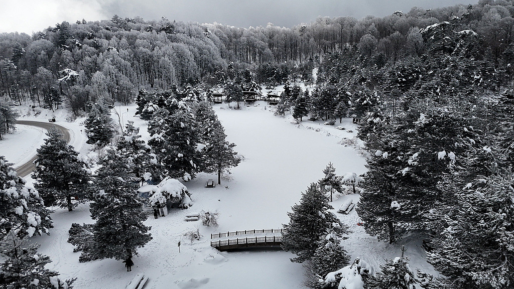 蝴蝶大乐透26008期分析，本期的温码应该是重点，可以考虑2到3个号码