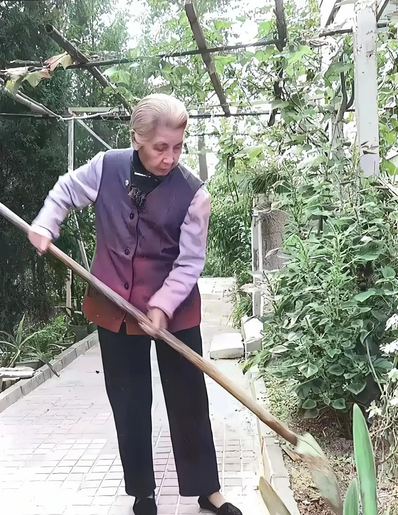 80年代，这是老红军曾志在自家花园劳动的留影。老人家面容平和，慈祥可亲，脚穿布鞋