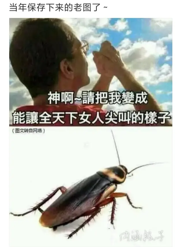 把我变成能让全天下女人尖叫的样子
