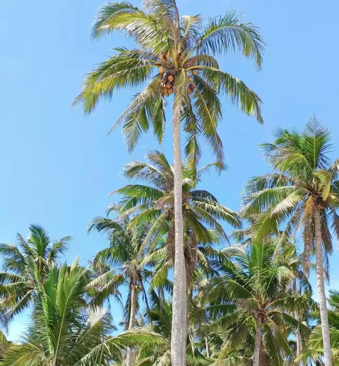 在婚姻中，有两种人最值得敬佩
第一种:可以陪老公过苦日子而不是只能过富日子，他