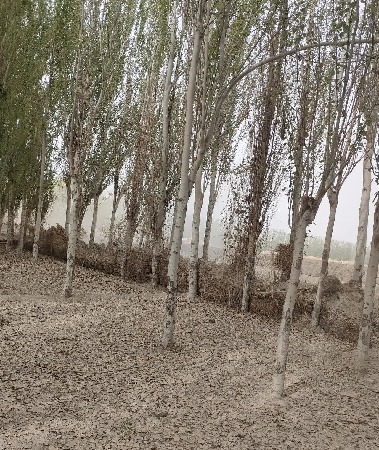 用一句话总结今天的心情 今天的心情如同天气般变幻莫测。早上醒来看到阳光，心情还不