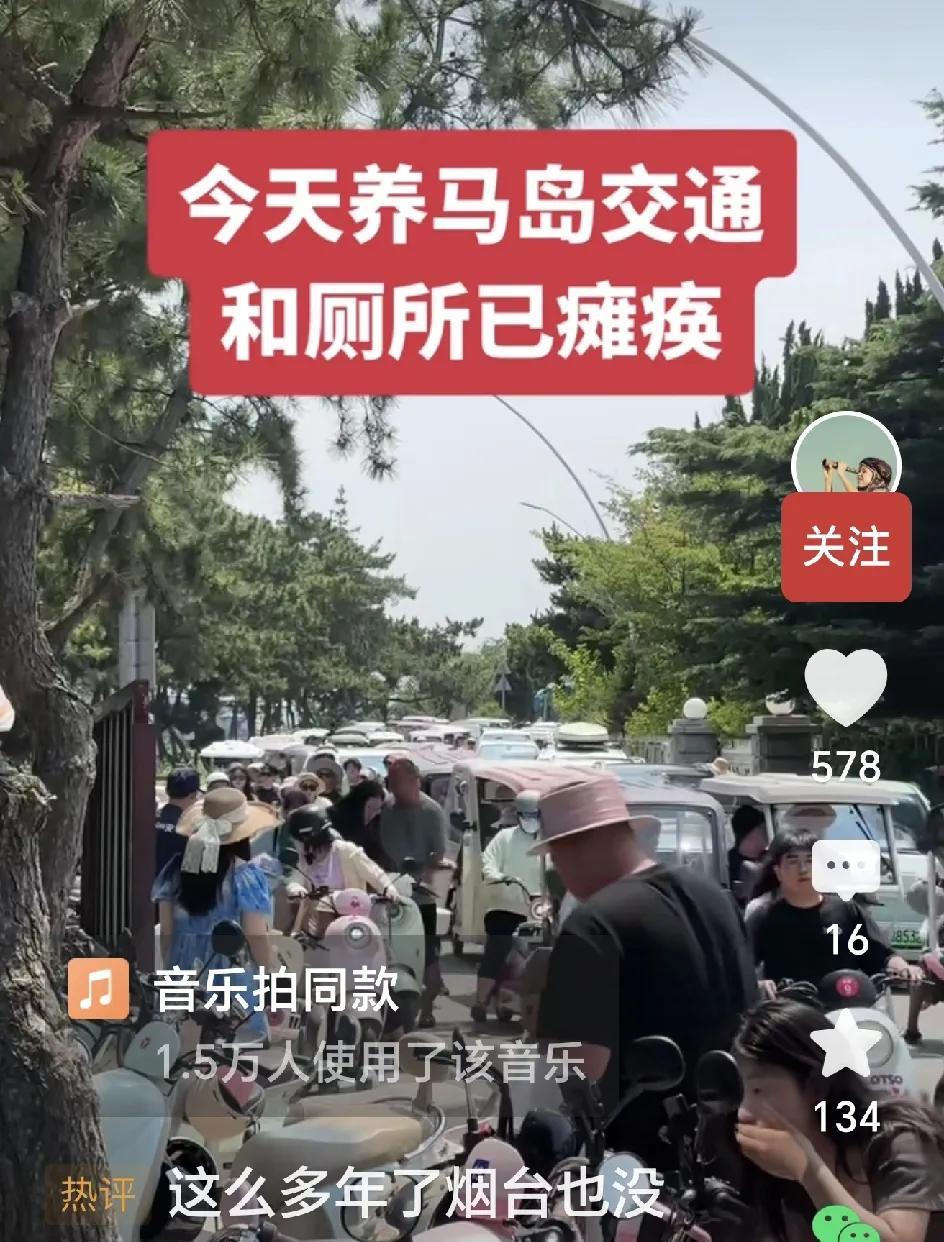 夏天旅游旺季的养马岛上，车挤人涌的热闹景象，真把我惊呆了。
五十多年前，我在养马