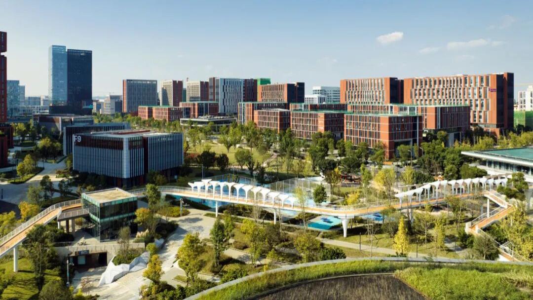 从一场8∶0的足球赛，照见四川与江苏的终极差距