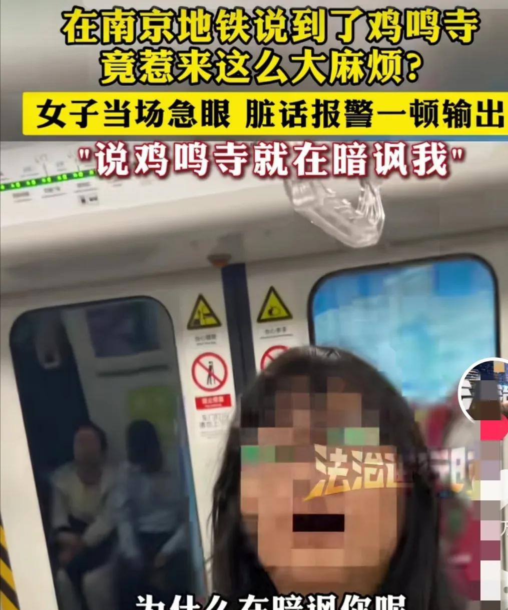 一对夫妻坐南京地铁，他们商量着去红山动物园参观，途中会经过鸡鸣寺和玄武湖，于是也
