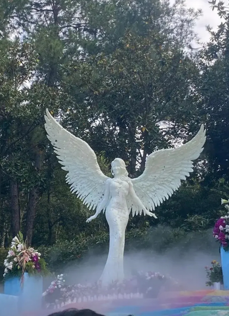 关于大S不能入土为安这件事，有网友说，如果此时汪小菲表态，要给大S修豪华墓地，小