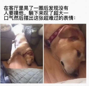 摆出这张超难过的表情