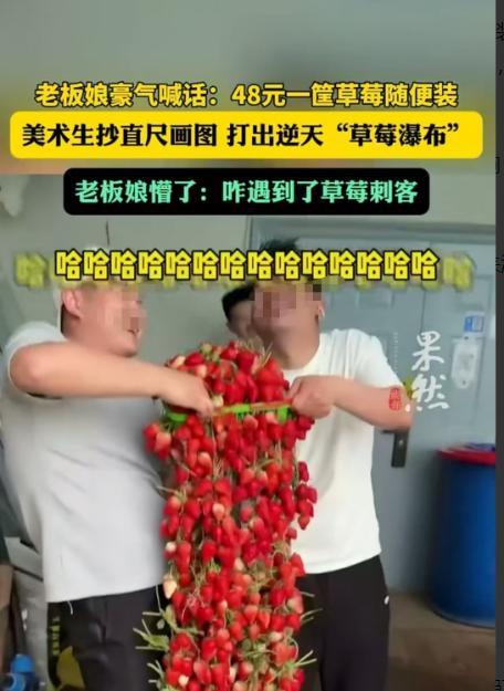 长春，48元一筐草莓，老板娘让大家随便装。结果小伙子装出了“草莓瀑布”，惊呆了众