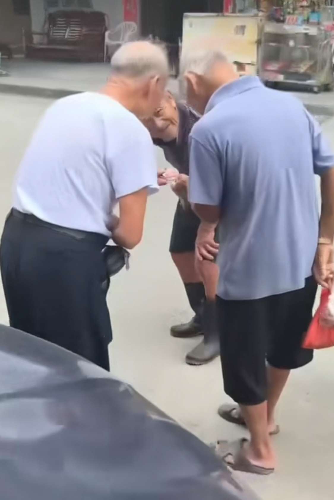 他们在商量什么有趣的事呢？