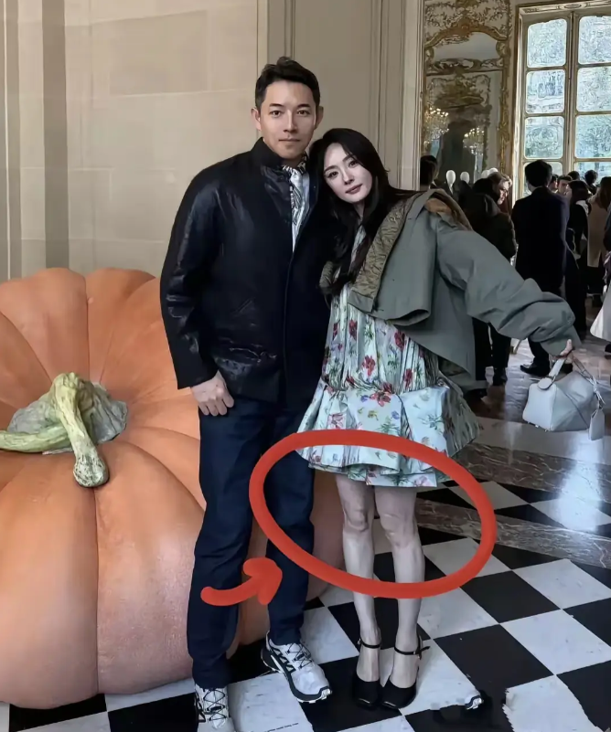 这就是瘦过头了的代价吧