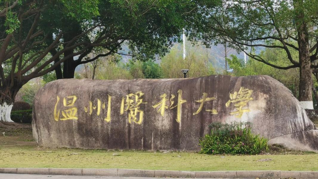 2026年温州医科大学继续教育学院成人高考报名招生简章