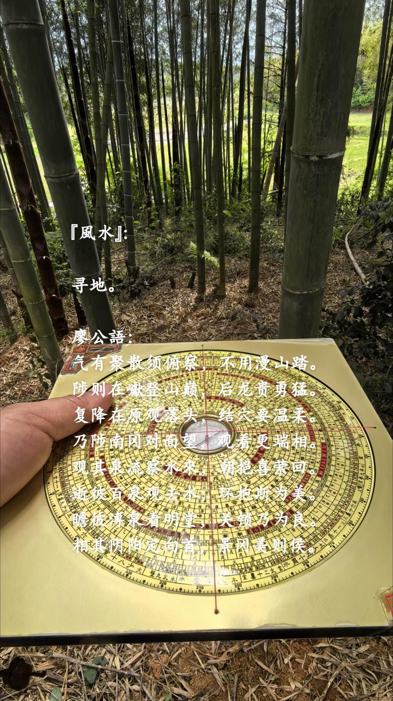 『風水』：
寻地。
廖公語：
气有聚散须俯察，不用漫山踏。
陟则在巘登山巅，后龙