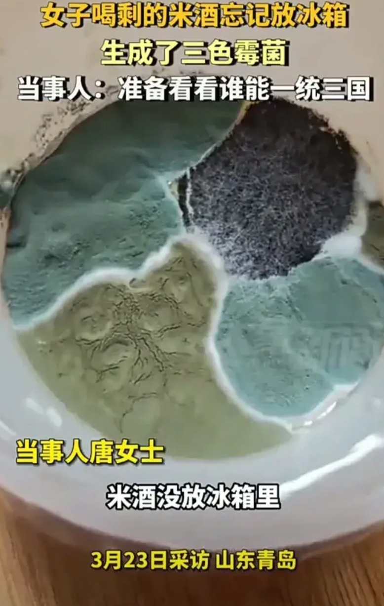 太有趣了！3月23日，山东青岛一名女子发视频称，自己买了一些米酒来喝，没喝完但却