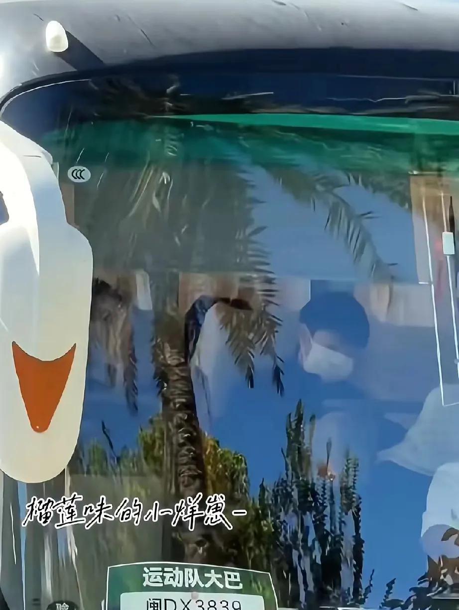 7.25两小只都上训了
一大早两小只都乘坐大巴车，
来到比赛场地进行训练，
莎莎