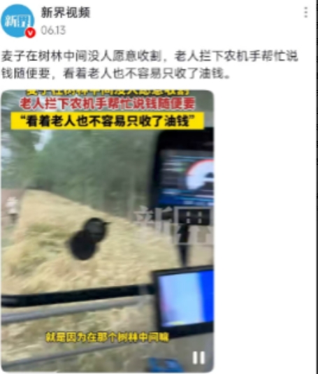 “活该他发财！”江苏老人在路边拦下农机手，恳求对方帮忙收下麦子，全村就剩他一户没