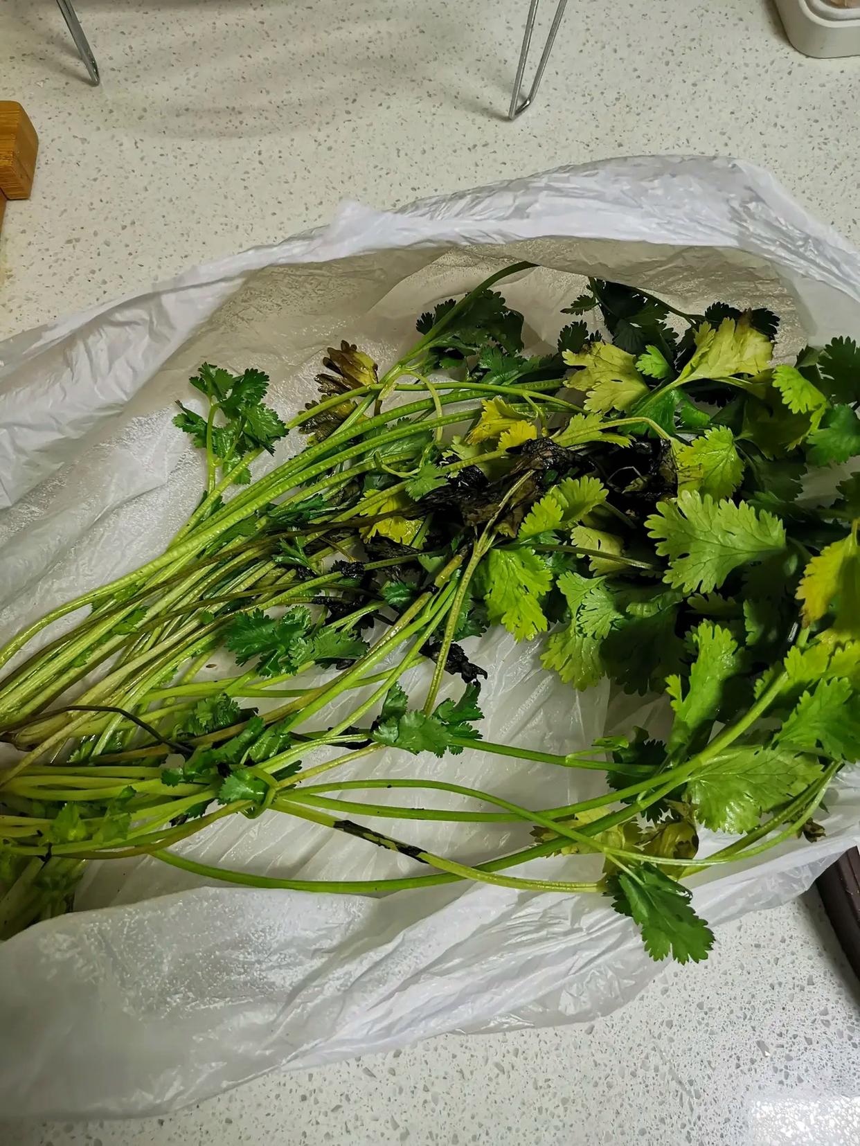 每次买的香菜，都是没等吃完就烂了！现在超市卖香菜都是打好捆卖，2元一捆。一捆也就