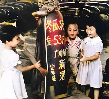 一九八二年，广州举行冬瓜大比赛。这次比赛中要选出个头最大，重量最重的冬瓜。在上千