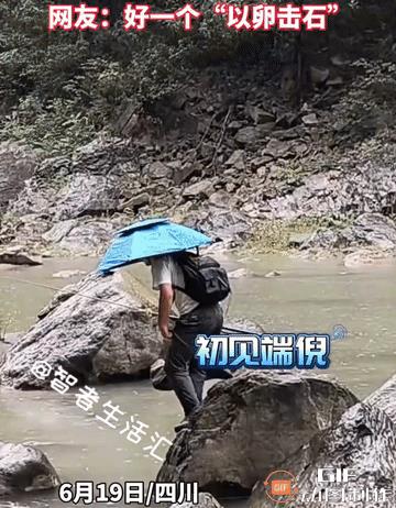 好家伙，“以卵击石”这个词原来是这么来的，这一刻具象化了[笑哭][笑哭][笑哭]