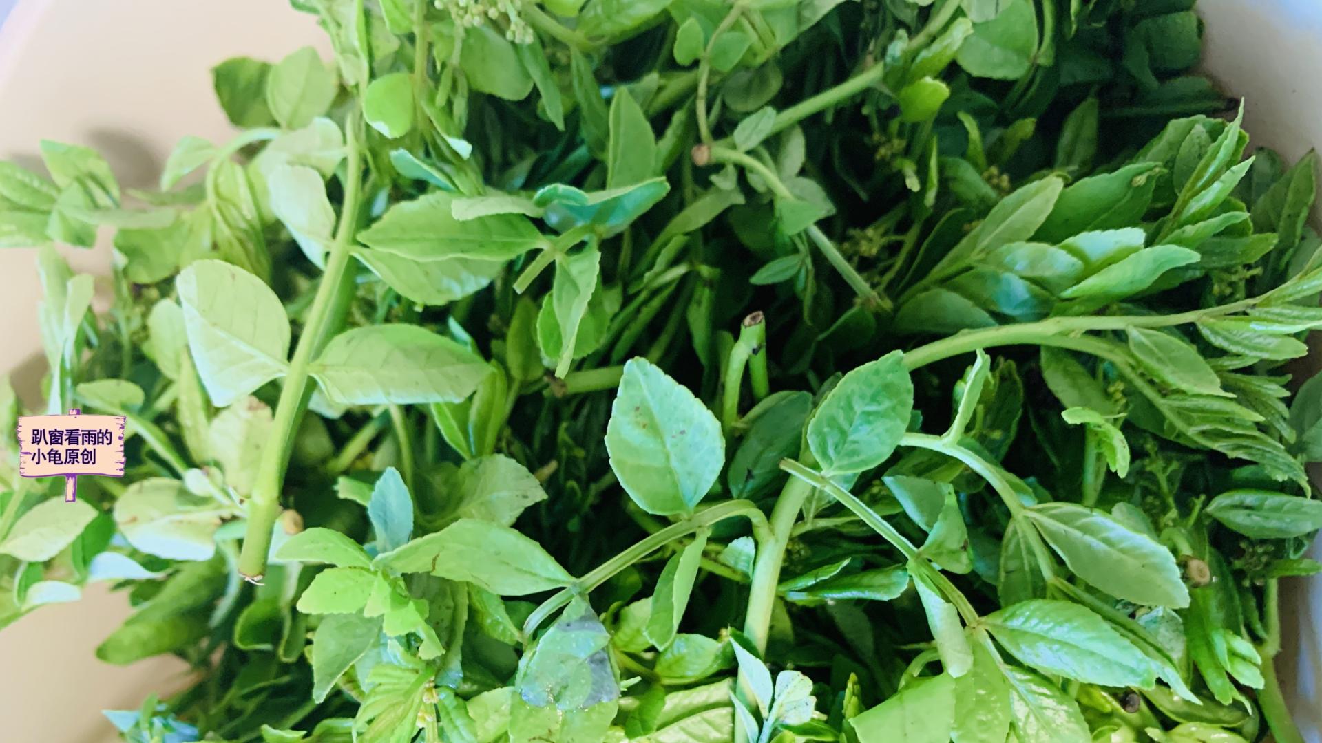 初夏，这菜是个宝，鲜嫩营养，麻香四溢，4种做法，美味吃不够