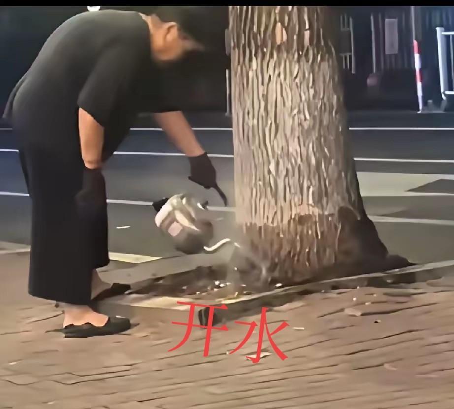 以前以为老人就是代表慈祥，包容，可是现实中我却被打脸了。
看到这个视频，心里不太