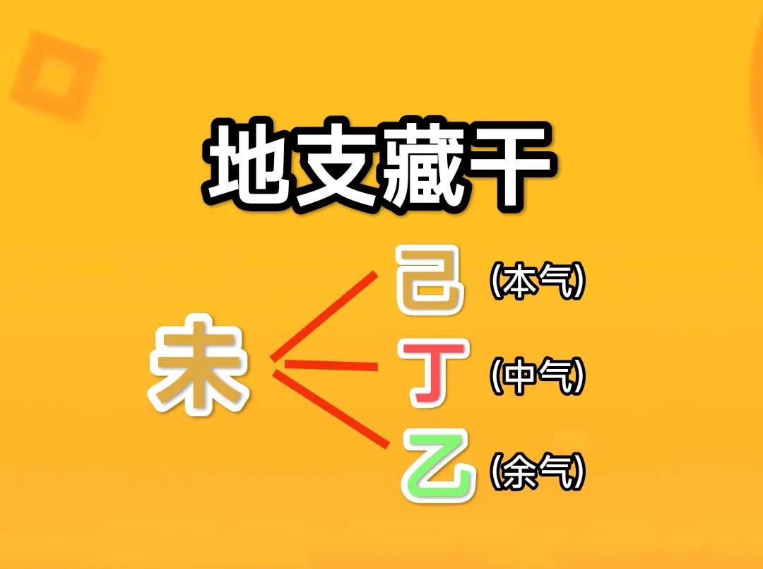 《地支藏干未土解析》
地支未土在十二地支中位居第八，属阴土；方位，西南偏南；时辰