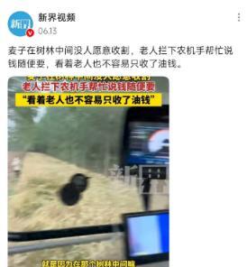 “活该他发财！”江苏老人在路边拦下农机手，恳求对方帮忙收下麦子，全村就剩他一户没