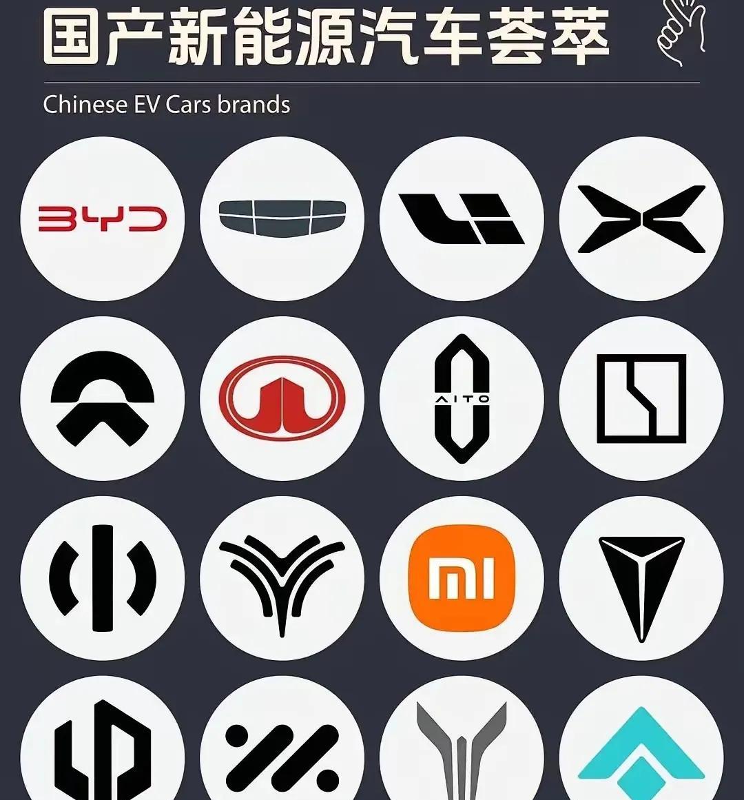 进入新能源的国产私家车品牌，之前大家没有一家。一夜之间私家车都能国产化了，瞬间崛