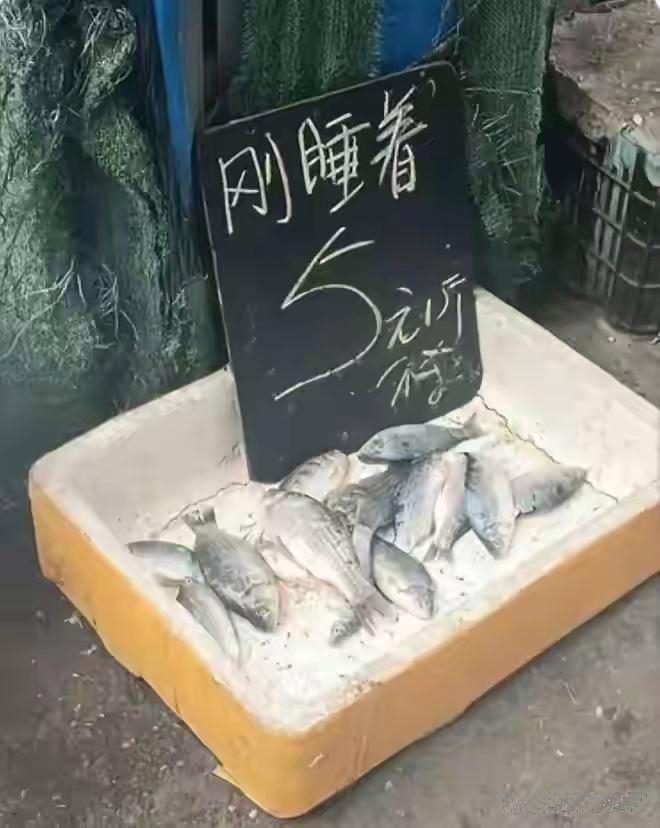 早上去买菜的时候，在鱼摊上看到了牌子上写的字。我在犹豫要不要把这鱼全卖了？朋友们