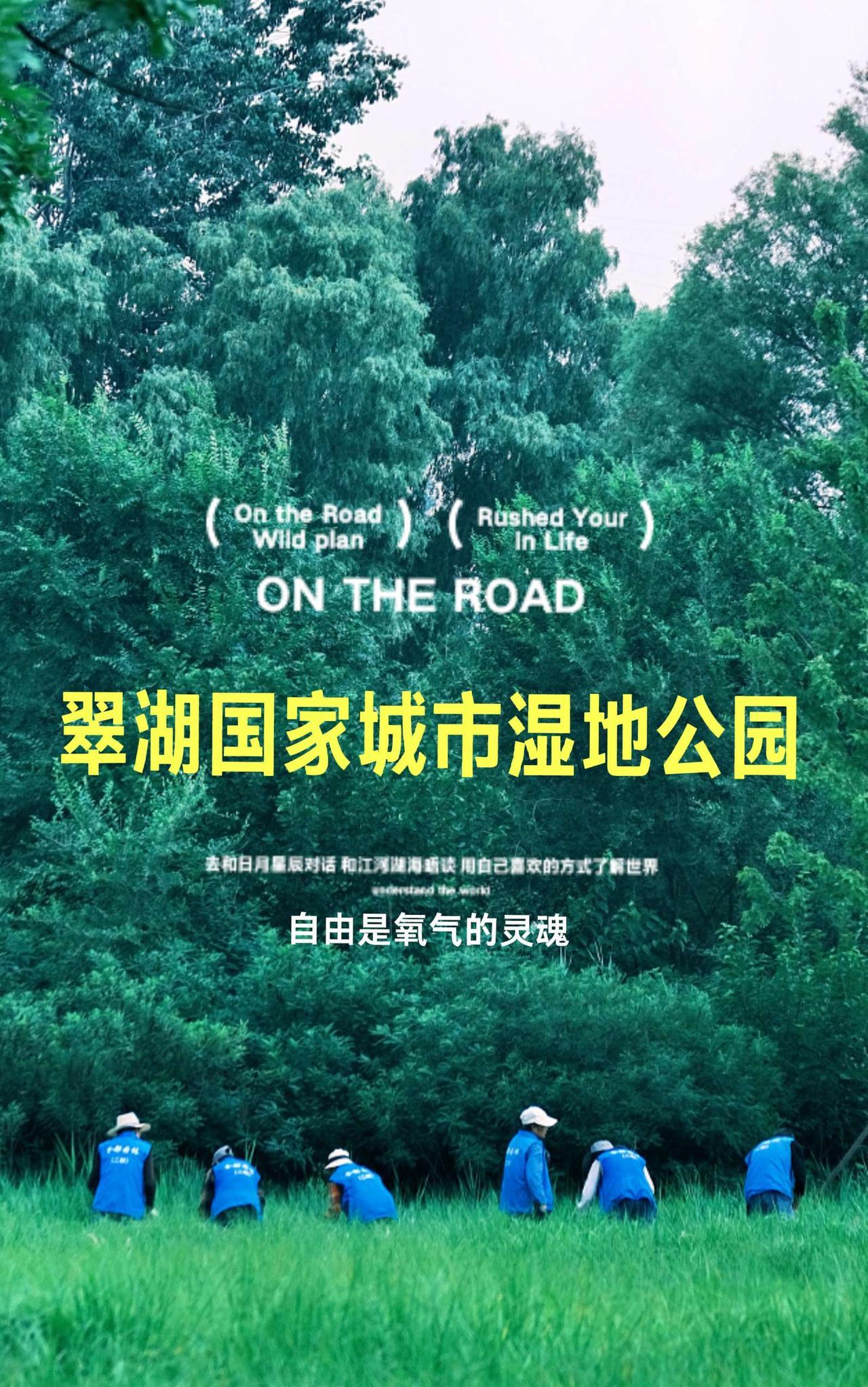 可能是夏天的关系，翠湖出窝溜达的鸟不多。但在没太多游客的环境下，听鸟叫、听蝉鸣，