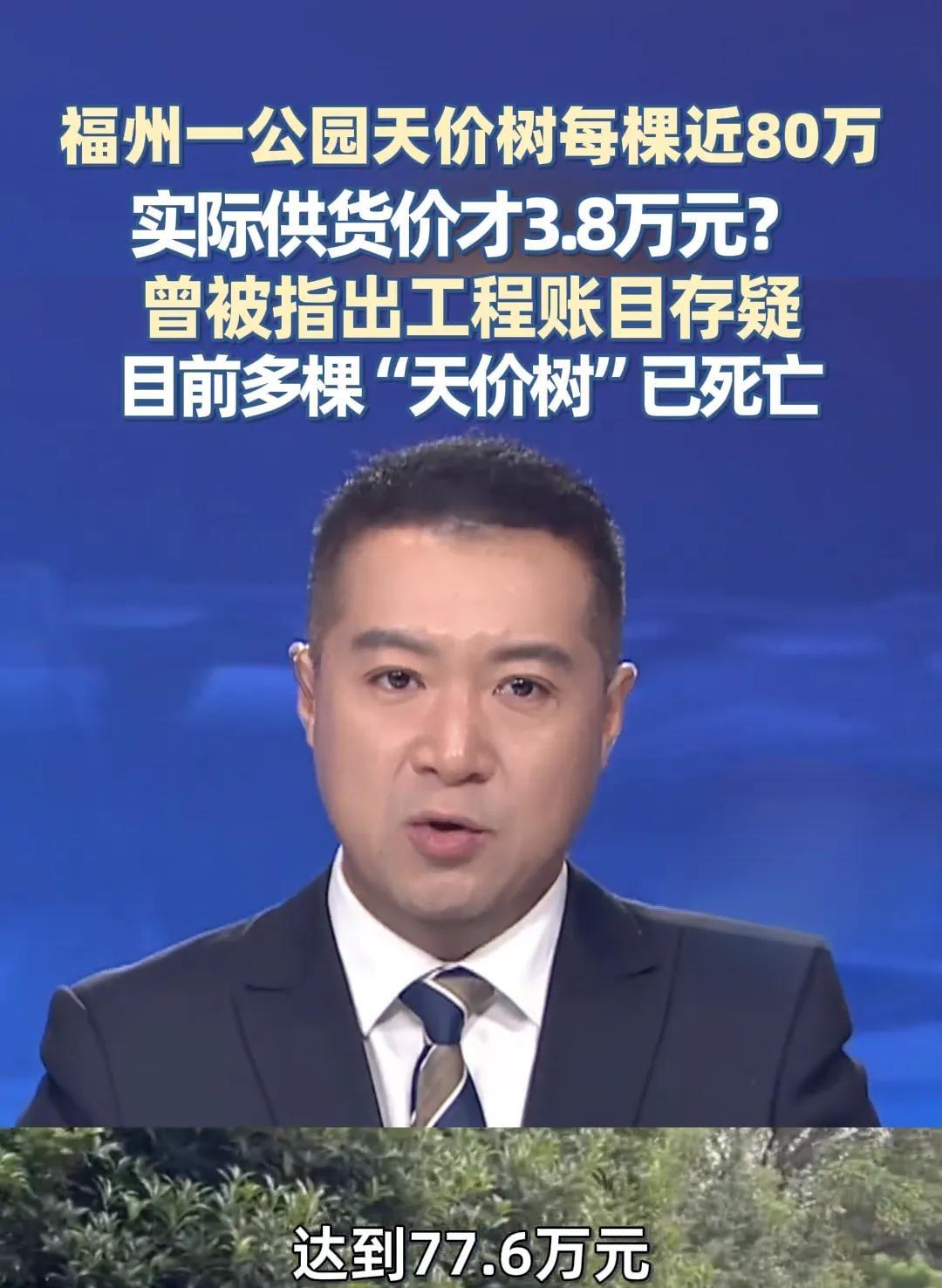 气愤，这钱花的安心吗？这“生意”是真赚钱，但是不能什么生意都做呀！采购价一棵77