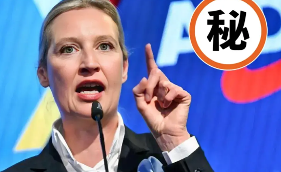 德国联邦议院当天投票，德国政客魏德尔议员，一个被60岁老男议员骂“亵渎民主”的女
