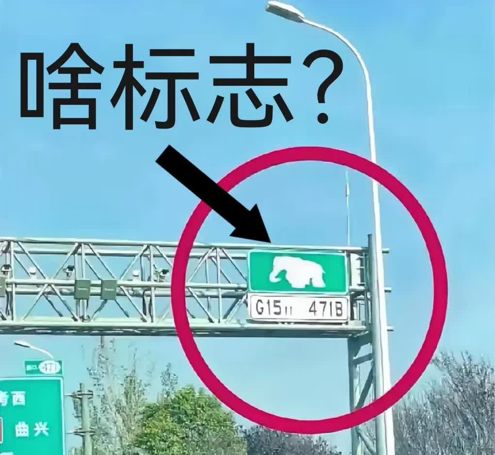 高速公路上看到这标志，我这女司机彻底懵了！老司机能帮看看这到底是啥意思吗？