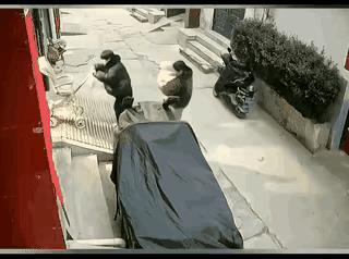 抱孩子，上这样的斜坡，千万不要穿拖鞋或软底鞋，这样脚下“出事”了，就麻烦了，看看
