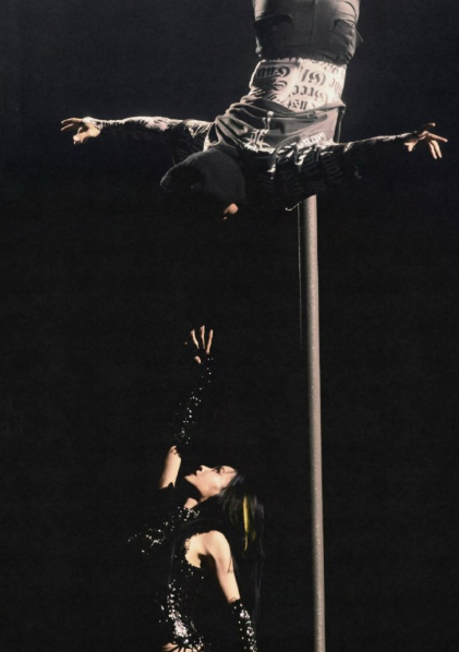 蔡依林的舞伴也够拼的，舞台上上演高难度爬竿杂技。跟着拼命三娘蔡依林，舞伴也深受影