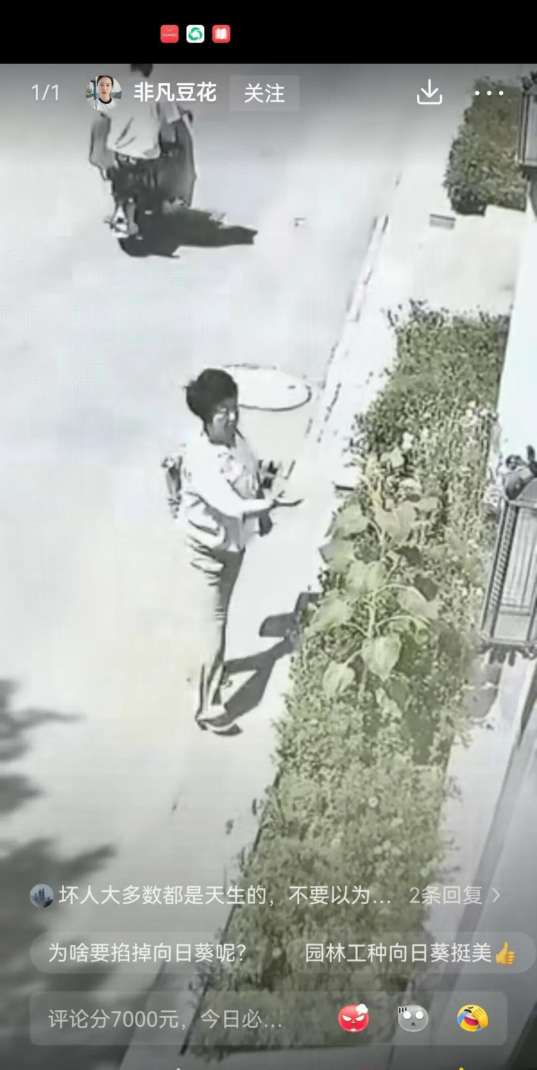 神仙都看不懂了。曝光她，让她单位同事，亲戚朋友都认识她一下的特点，将来防备她的小