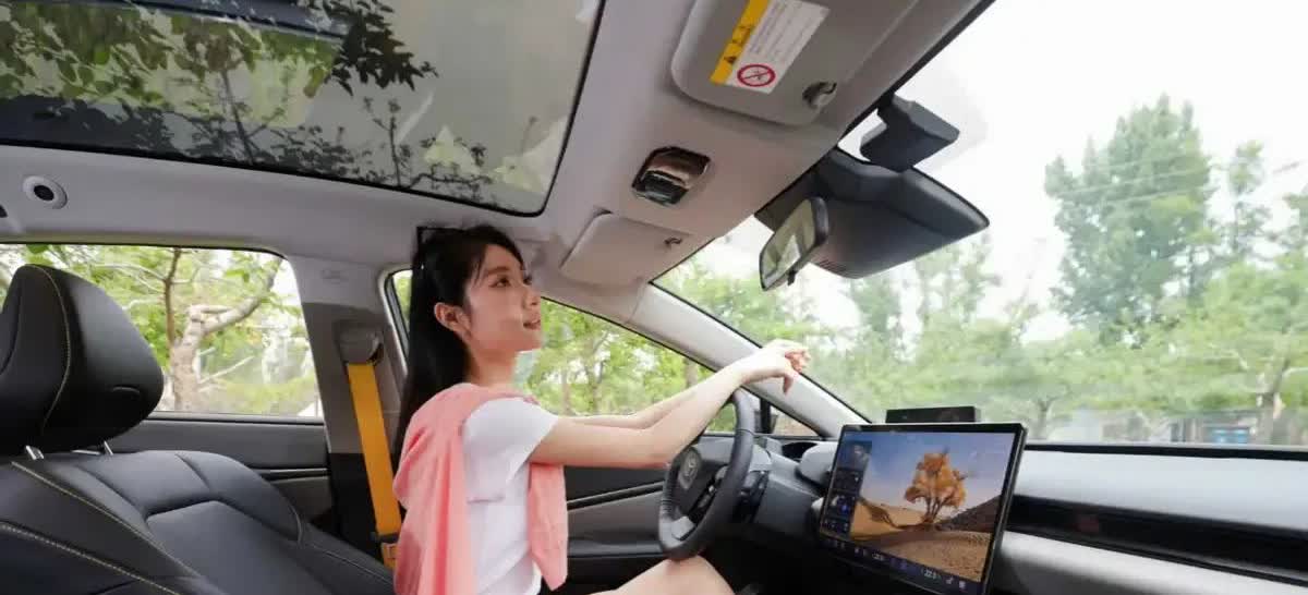 面对新能源的浪潮，合资品牌呈现出两种截然不同的状态，有些还在掩耳盗铃，推出一些不