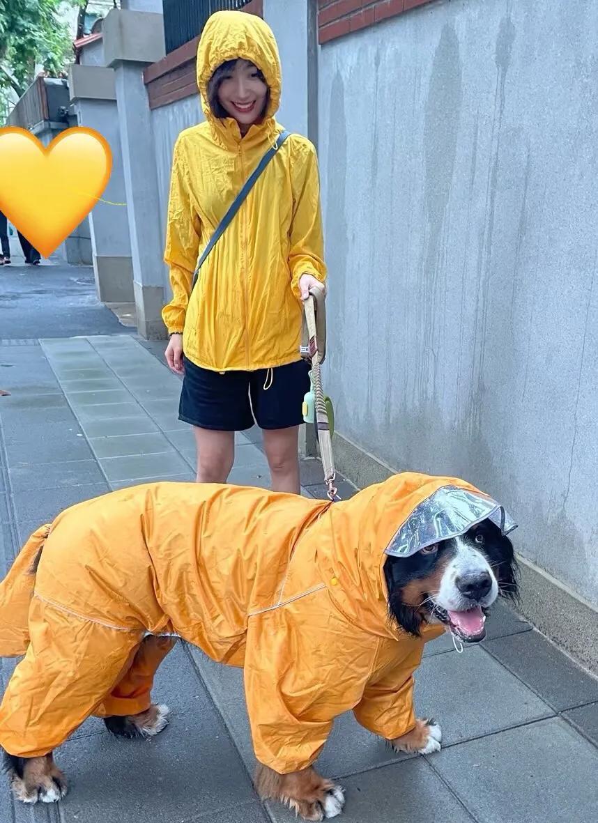 今日分享：上海遛狗法则——人可以狼狈，狗必须高贵。
下雨天？不存在的！在上海，就
