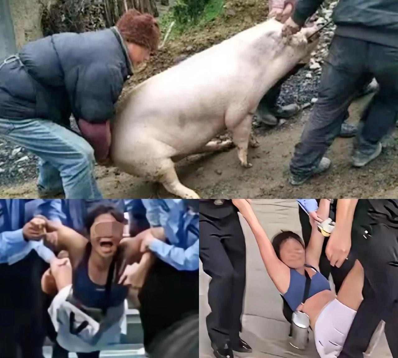以这种形式被带离就对了，好言好语不听劝的就该这样。
喝点酒就不知道自己行老几了，