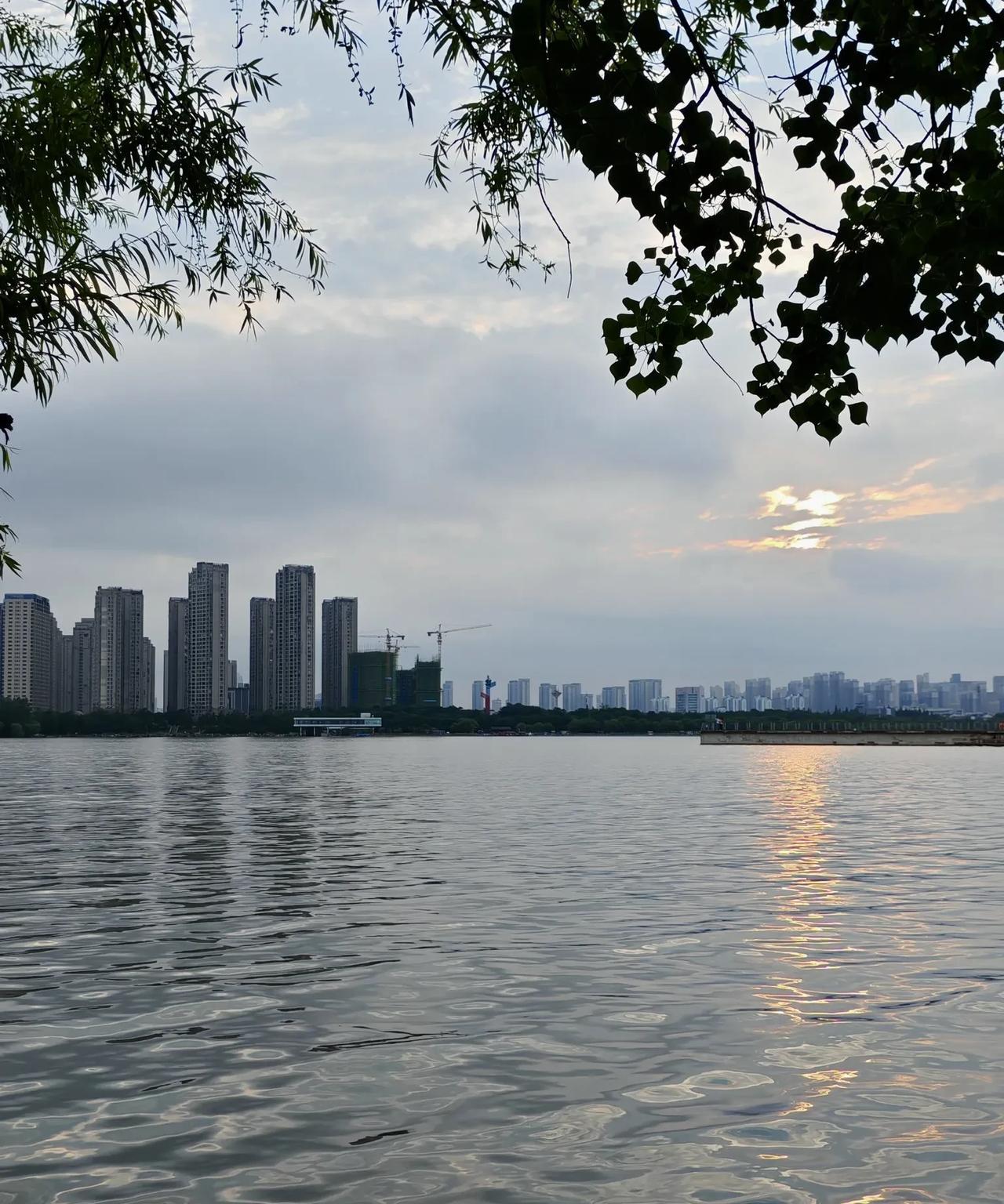 近几日连续降雨，蚌埠龙子湖水位明显抬高，水面更加开阔，水质也有改善，雨后的龙子湖