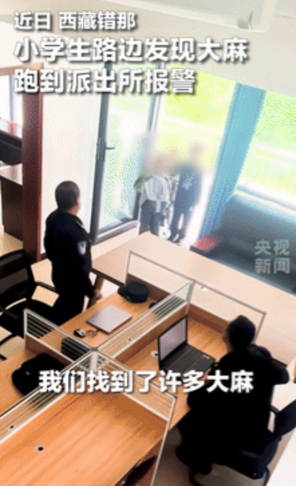 6月19日西藏错那，三名男孩在路边发现大麻后报警，民警叔叔十分好奇 ：“你们怎么
