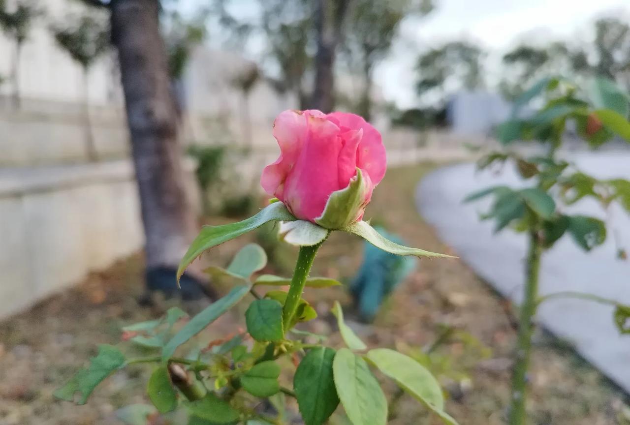 高考选专业，家长可以给建议，尽量不强迫孩子！
亲戚的孩子，今年大四，学的会计专业