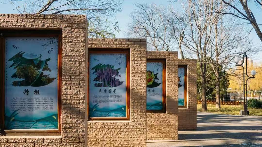 改姓才能领补偿？乡土规则与法治文明的碰撞