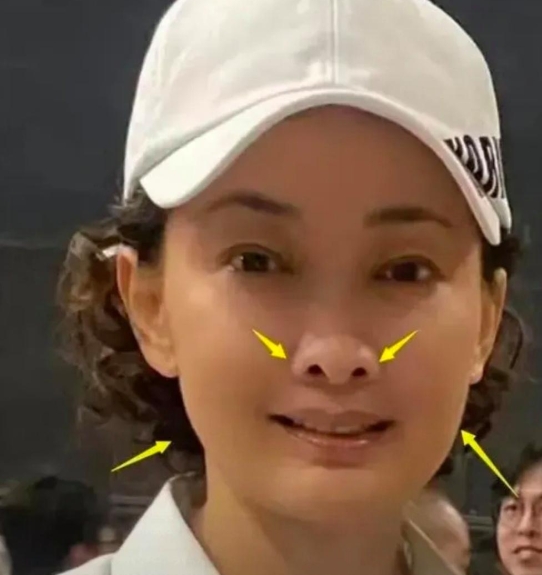 著名影星、被誉为超级大美女的牛莉，因拥有丰厚的财富，年过半百仍选择踏入医美领域。