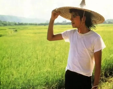 1987年，29岁的迈克尔杰克逊结束了日本的巡演，到香港后做了一个惊人的决定，只