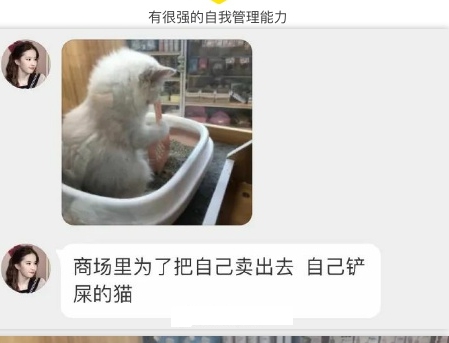 有很强的自我管理能力