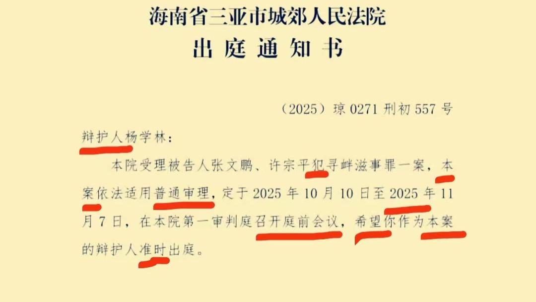 司法观察 | 张文鹏案的《出庭通知书》竟有9处值得修改