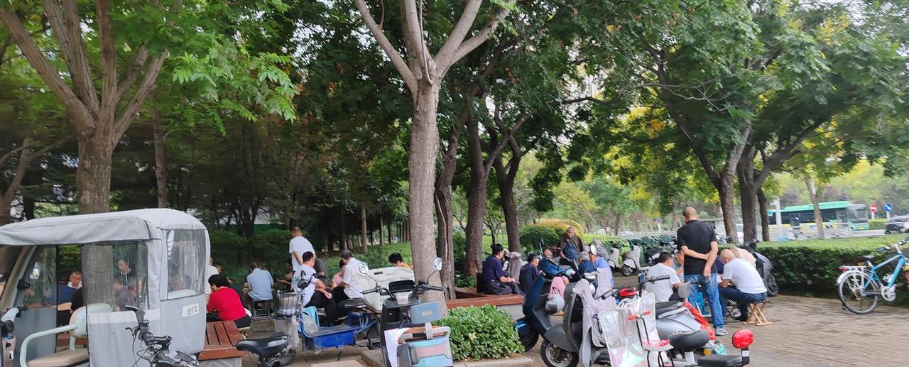 #秋日生活打卡季#马路边休闲处坐满退了休打牌的老人…