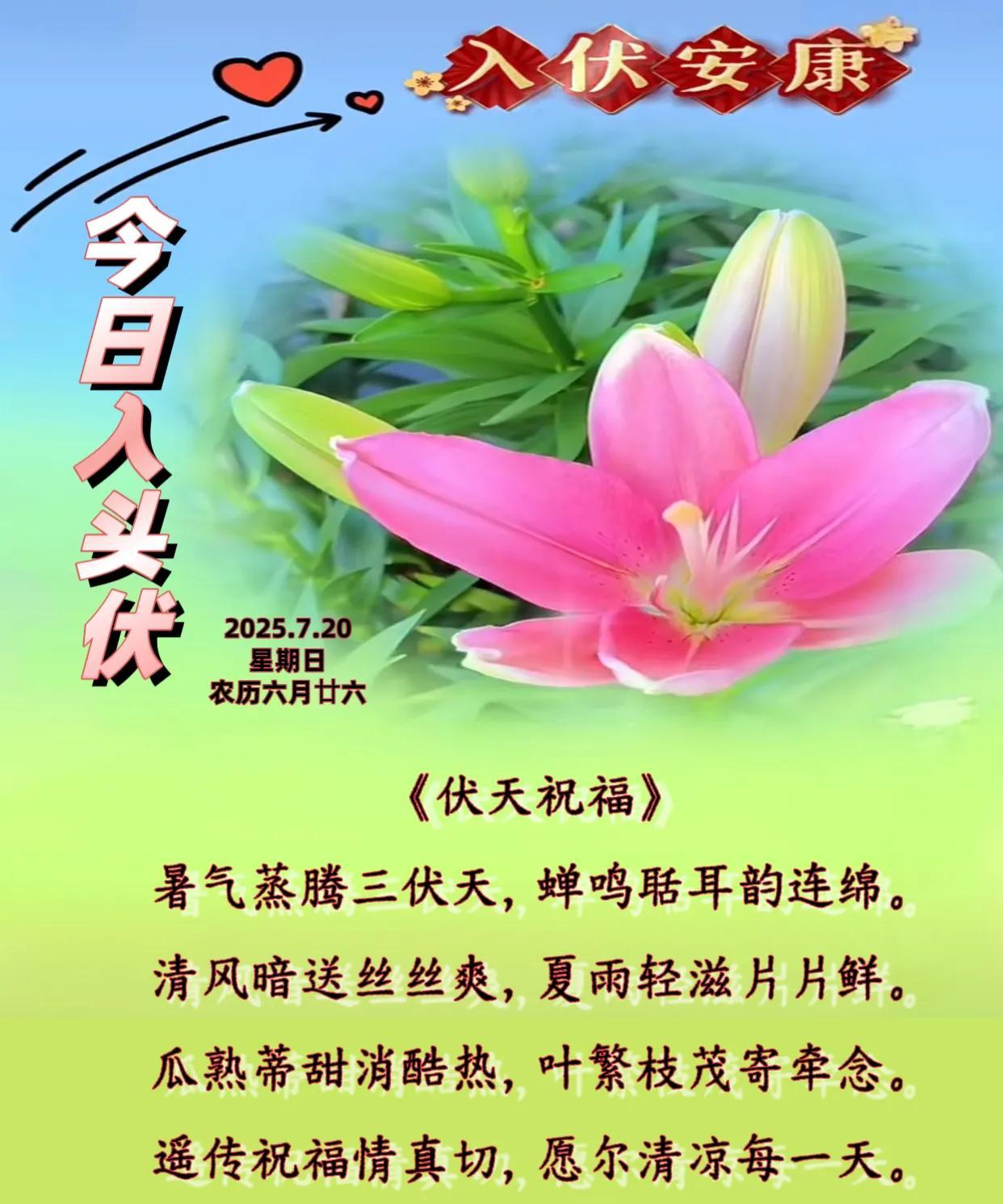 朋友：早安！今日入头伏。
《伏天祝福》
暑气蒸腾三伏天，蝉鸣聒耳韵连绵。
清风暗
