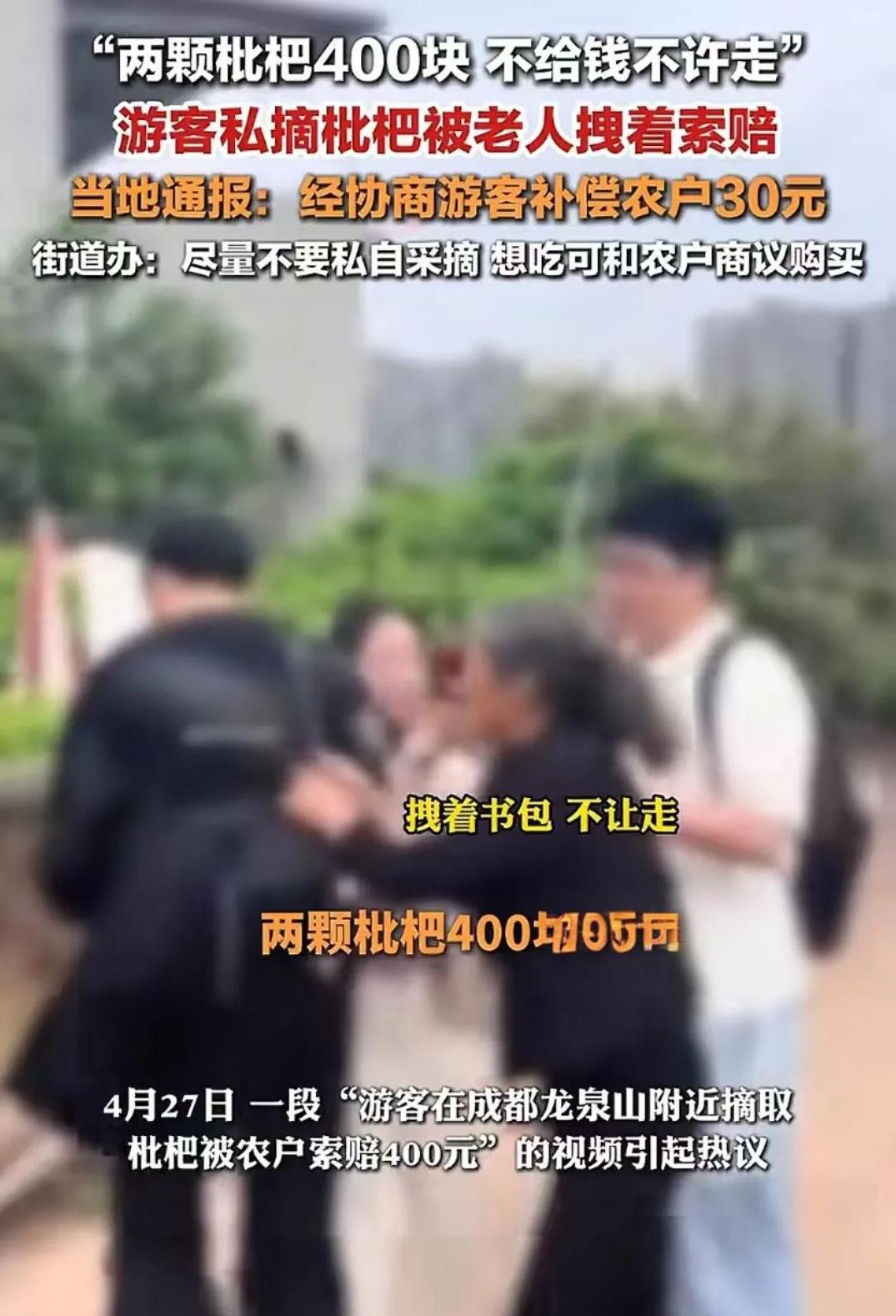 “摘两颗枇杷算不算偷？”小伙到成都龙泉山游玩，看到果园里的枇杷快要成熟了，忍不住